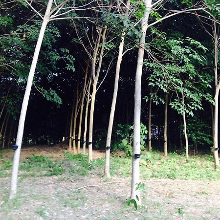 קו יאו נוי Mr Bao Homestay & Bungalows מראה חיצוני תמונה