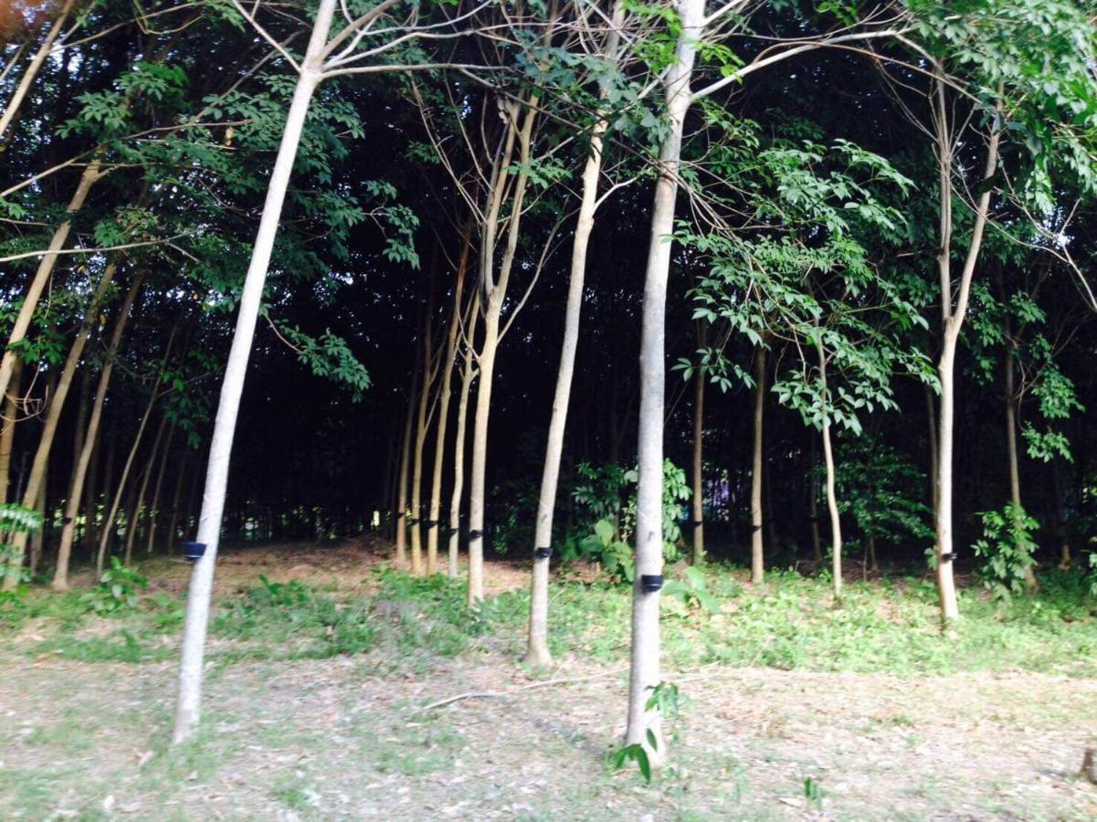 קו יאו נוי Mr Bao Homestay & Bungalows מראה חיצוני תמונה